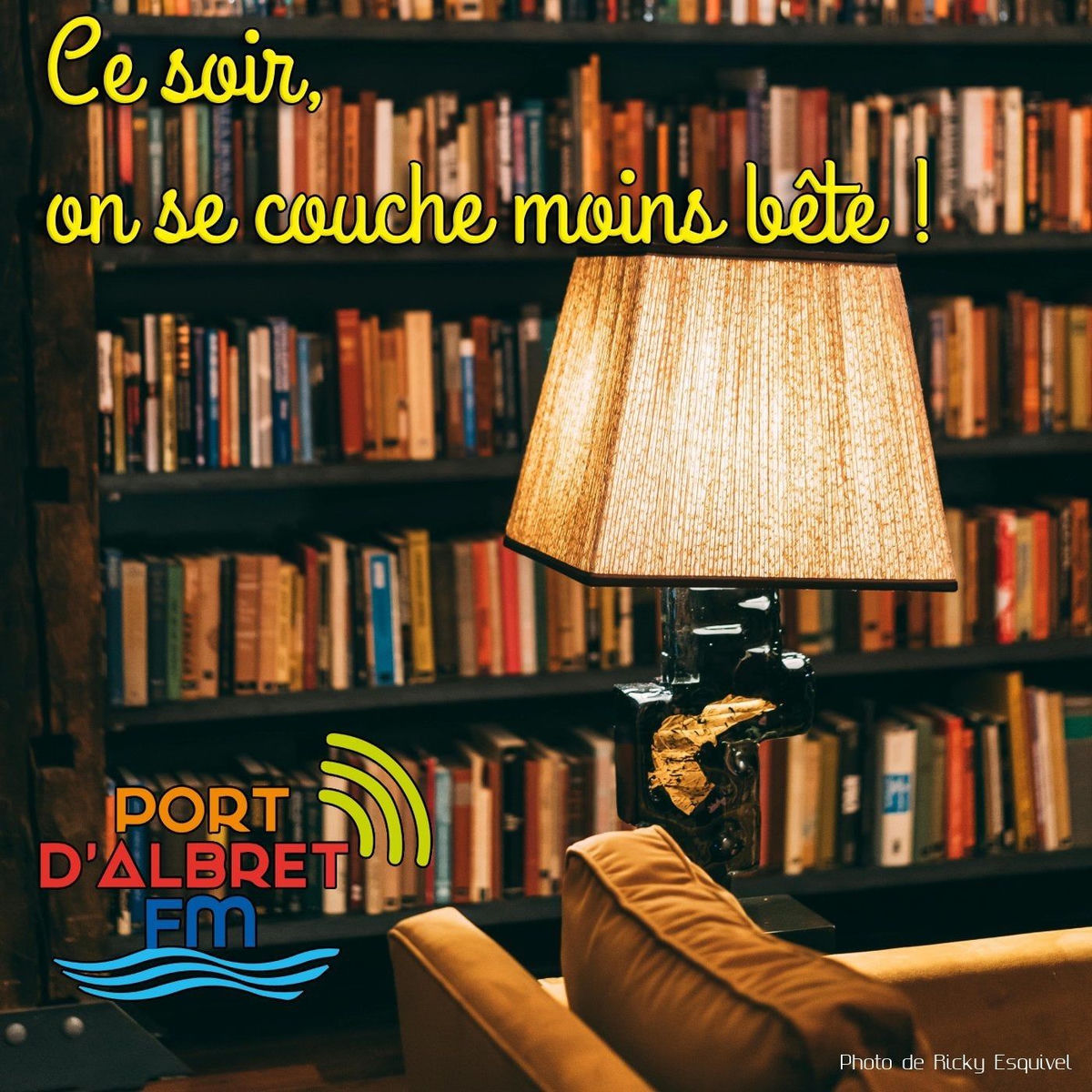 Show cover of Ce soir on se couche moins bête !