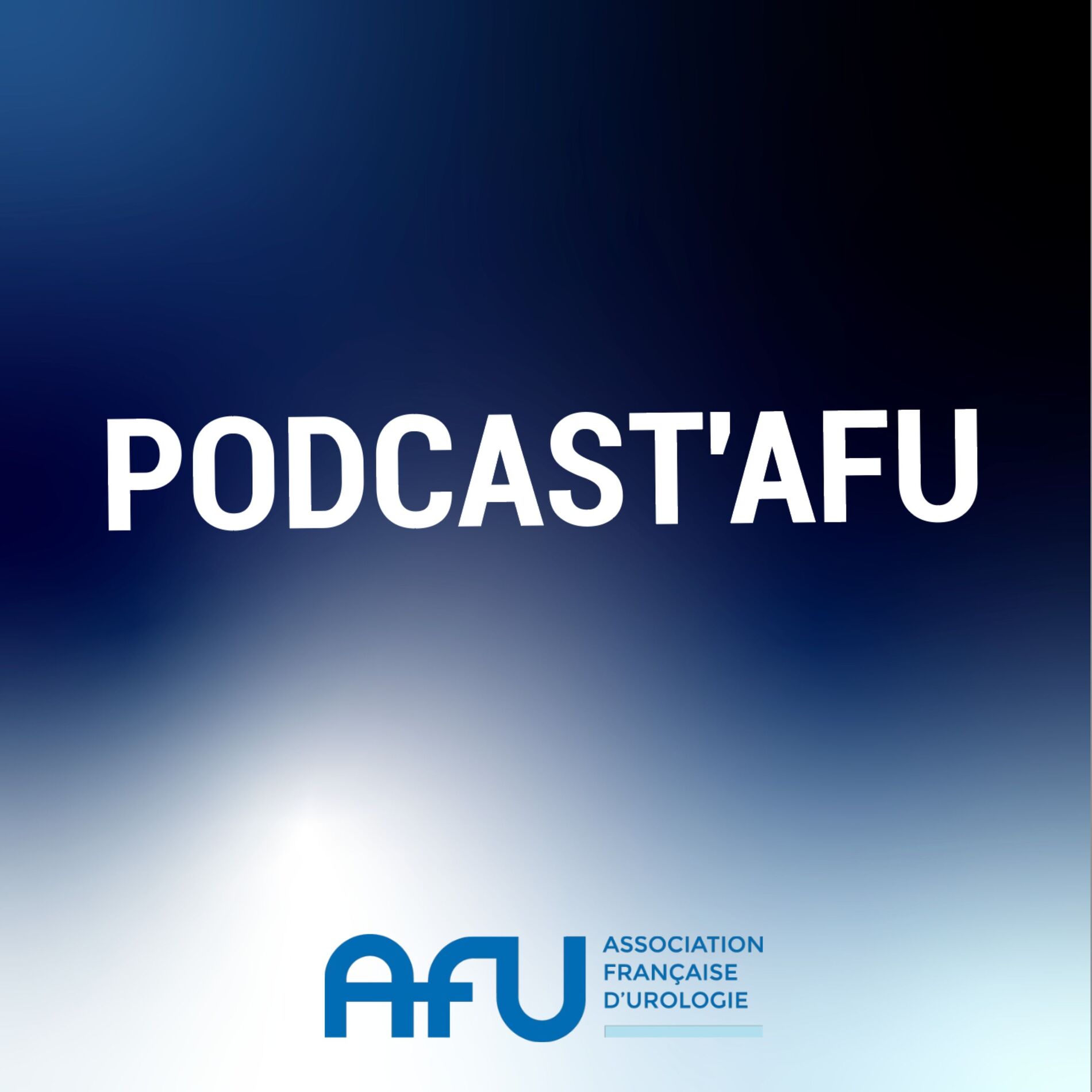 Show cover of PODCAST'AFU