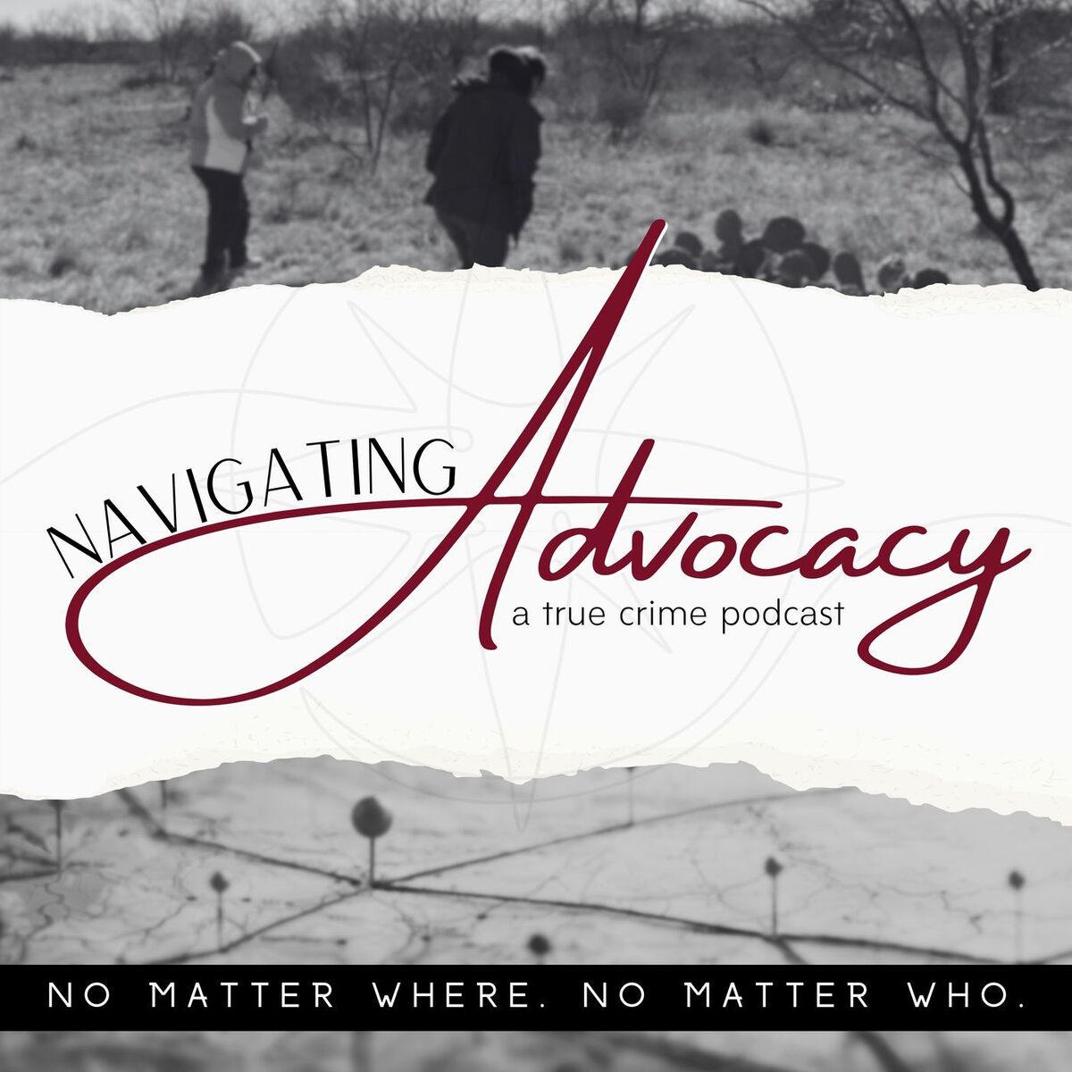Show cover of Navigating Advocacy