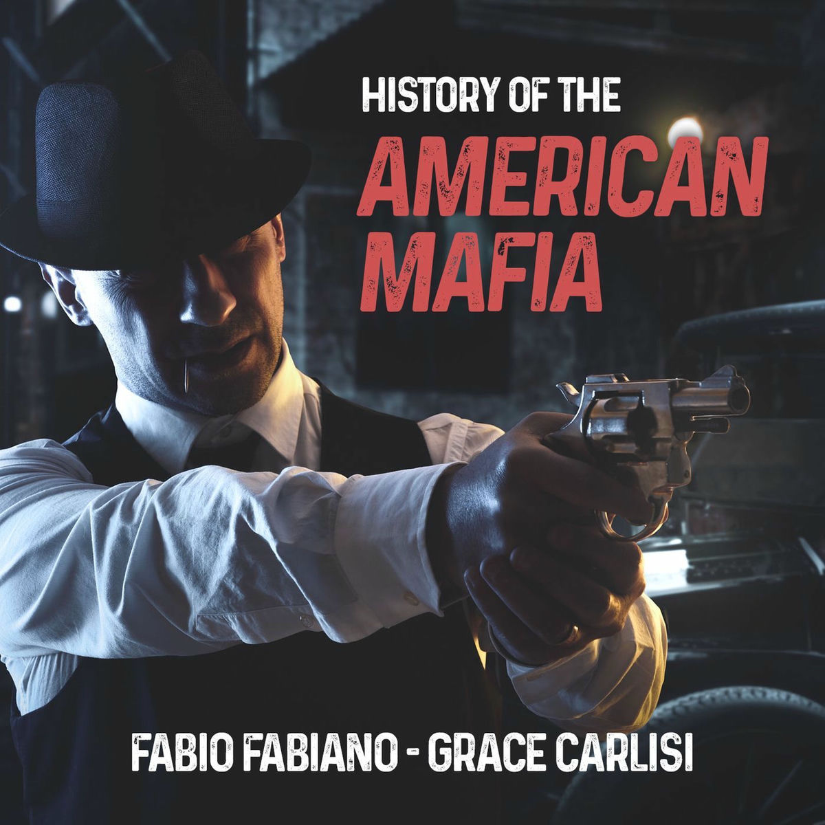 Show cover of THE HISTORY OF THE AMERICAN MAFIA