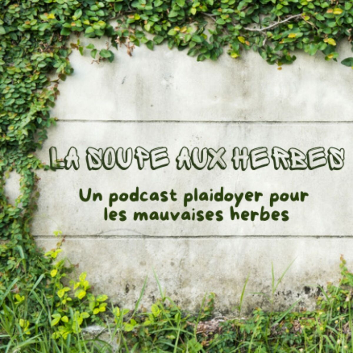 Show cover of La Soupe aux Herbes