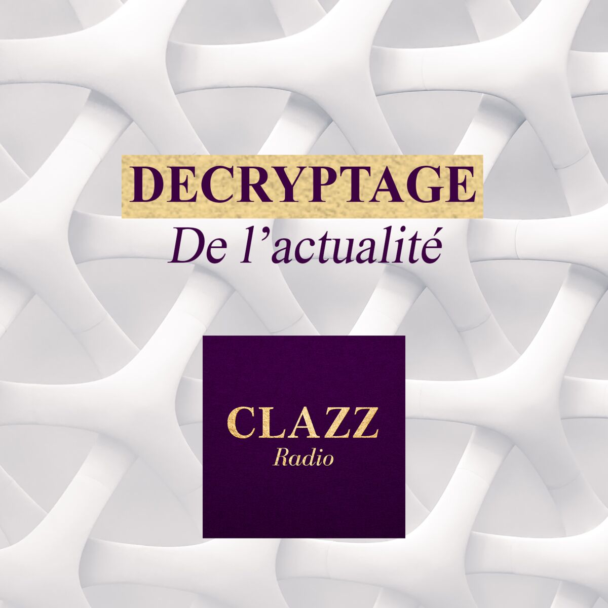 Show cover of DECRYPTAGE DE L'ACTUALITE