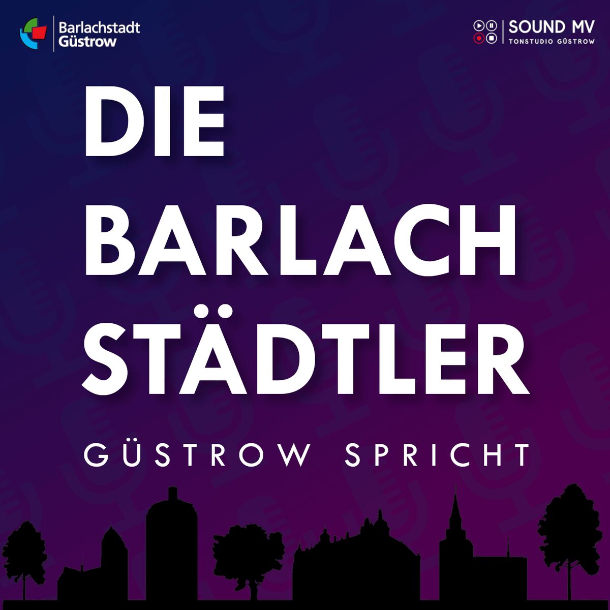 Show cover of Die Barlachstädtler - Güstrow spricht