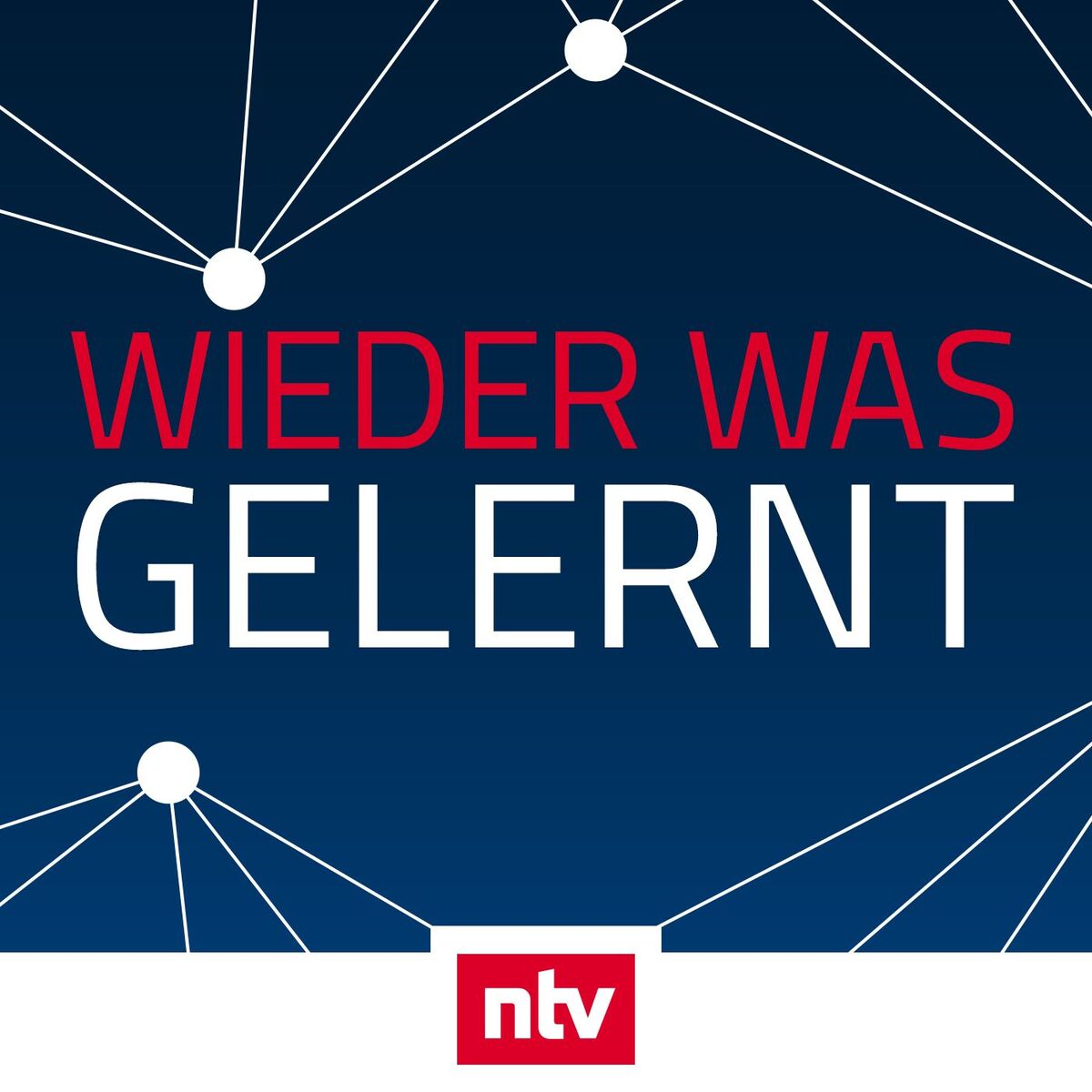 Show cover of Wieder was gelernt - der ntv-Podcast
