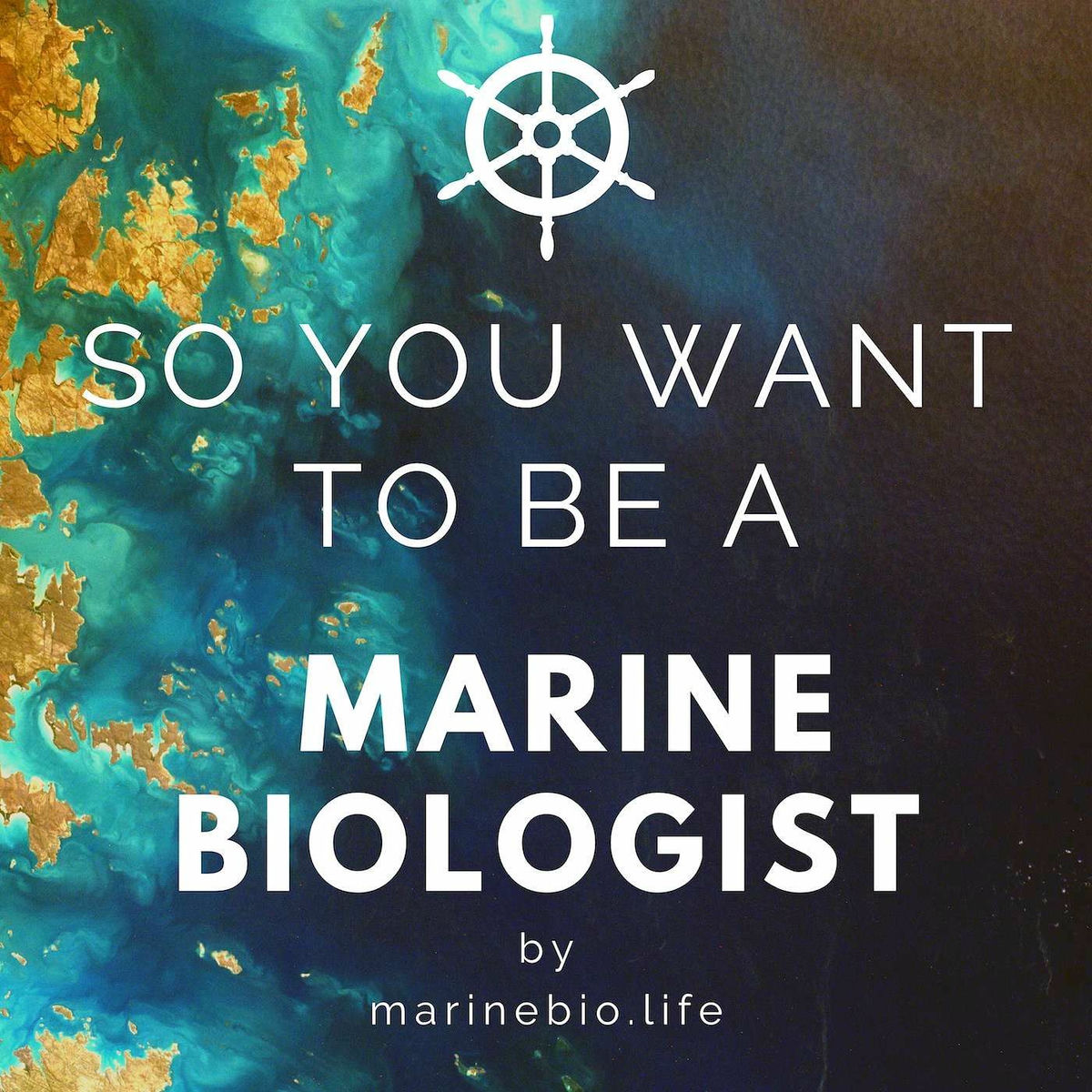 Show cover of So You Want to Be a Marine Biologist