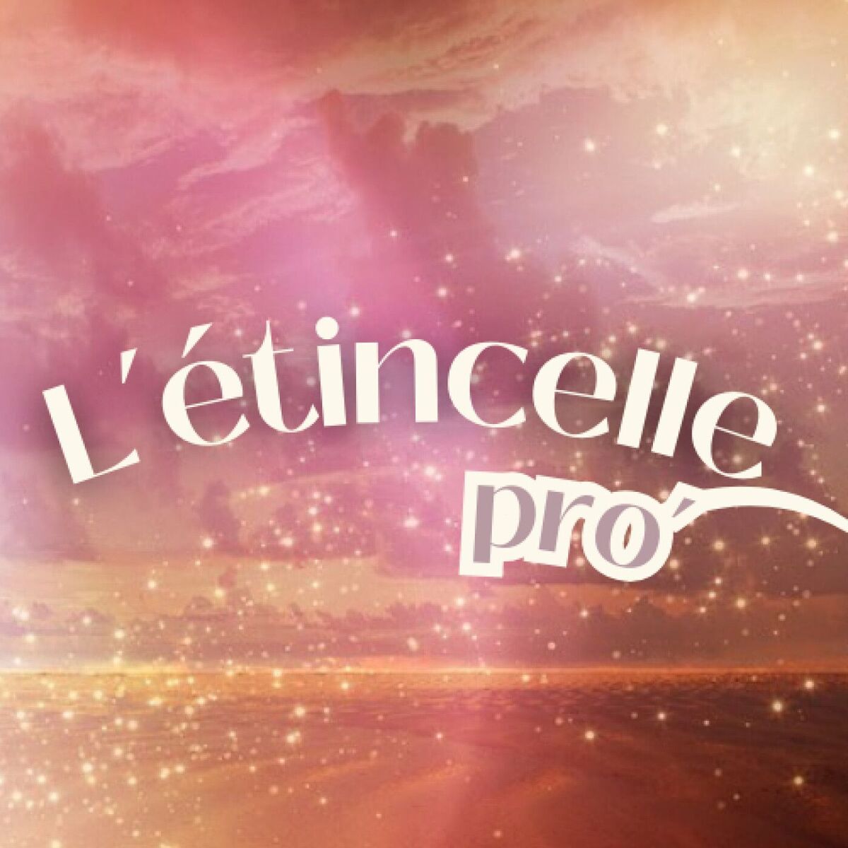 Show cover of L'étincelle pro'