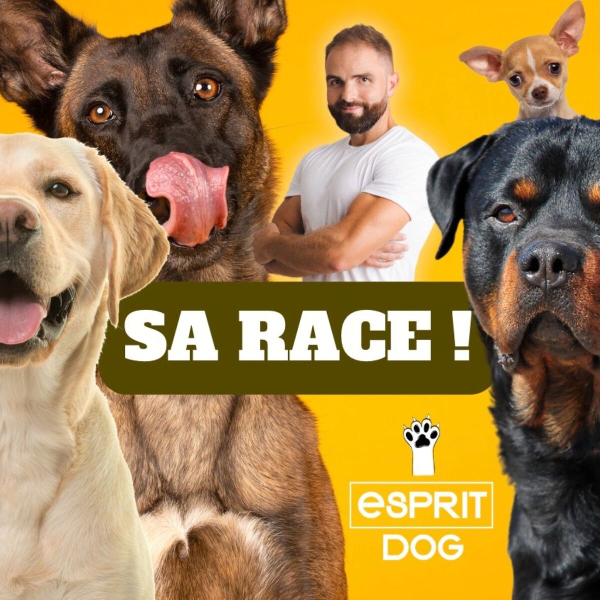 Show cover of Sa Race !