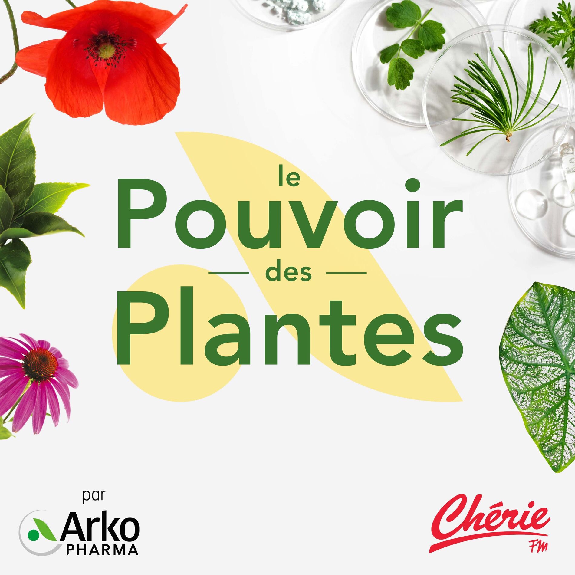Show cover of Le pouvoir des plantes par Arkopharma