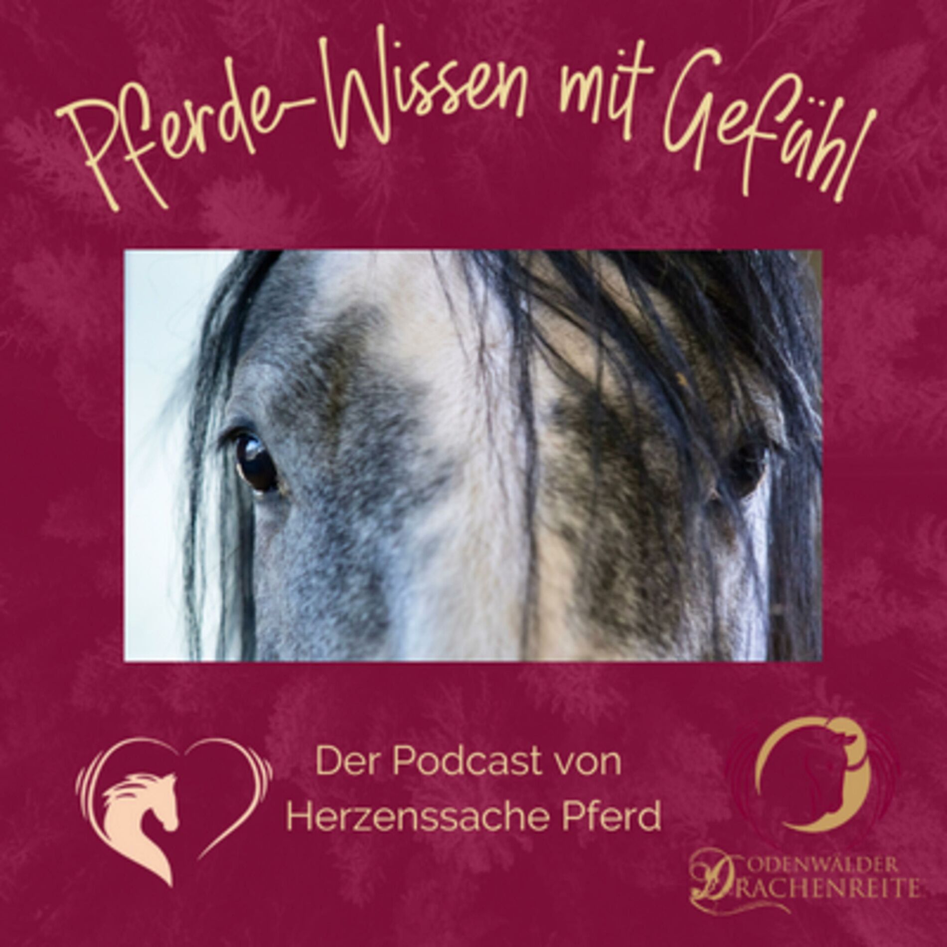 Show cover of Pferde-Wissen mit Gefühl - Der Podcast von Herzenssache Pferd