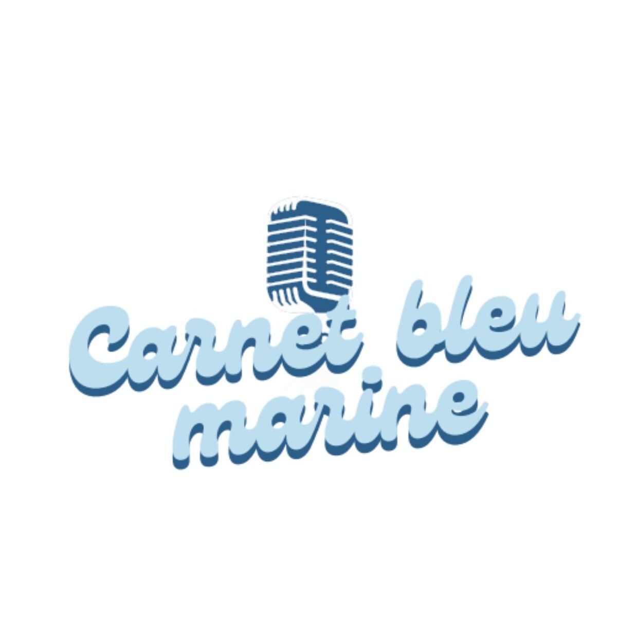 Show cover of Carnet bleu marine