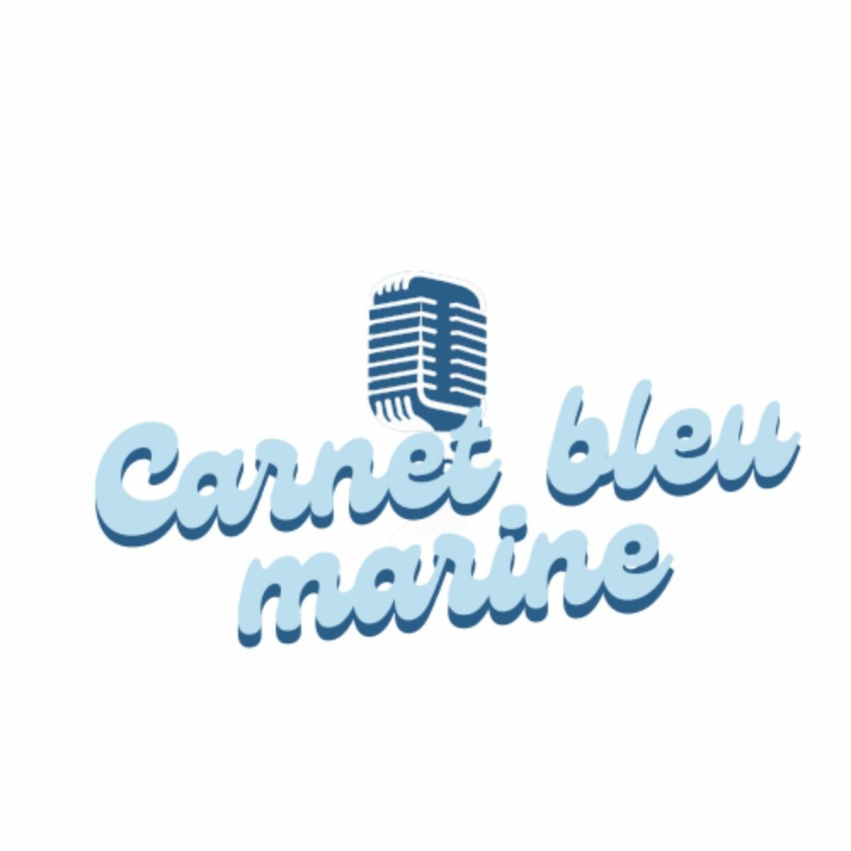 Show cover of Carnet bleu marine