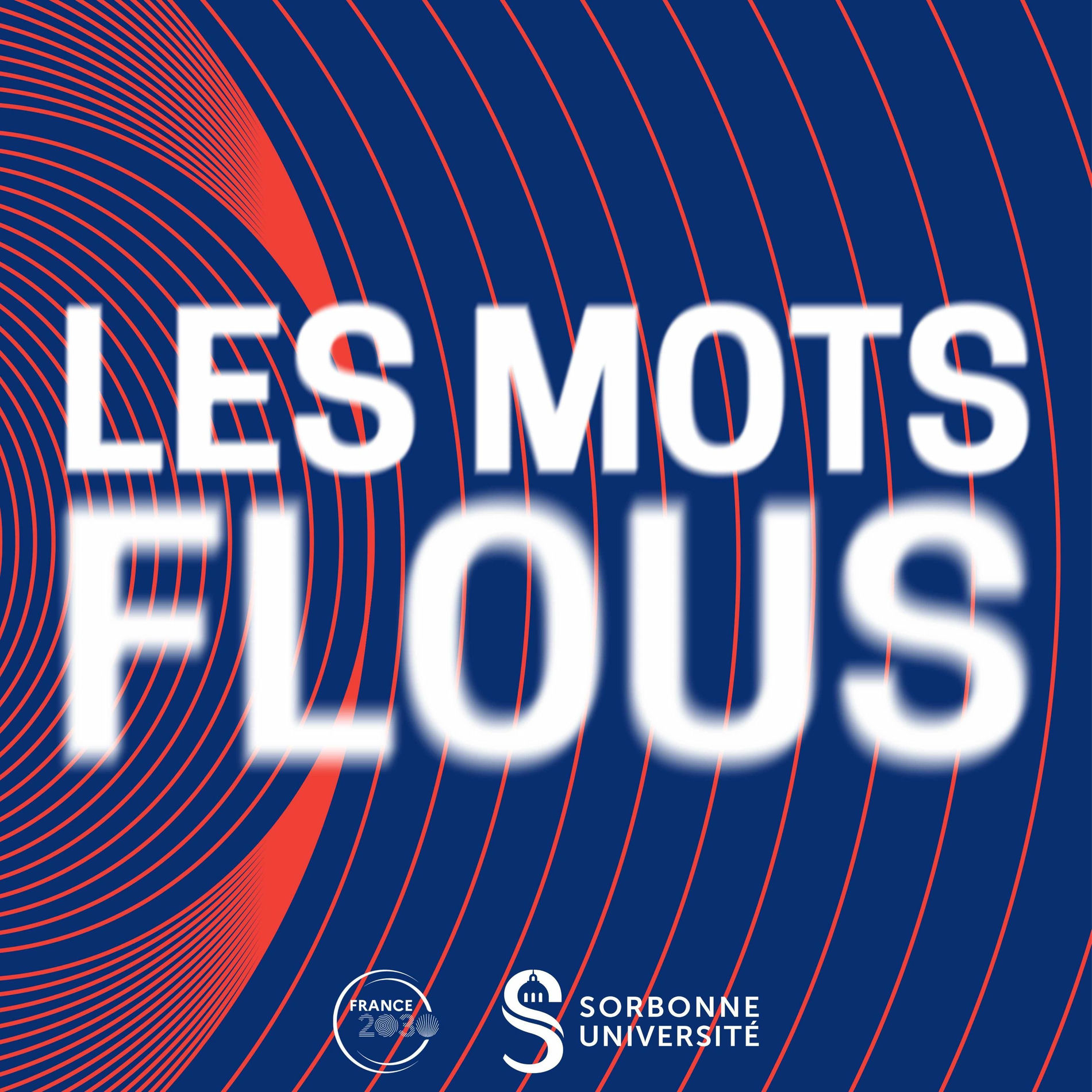 Show cover of Les mots flous
