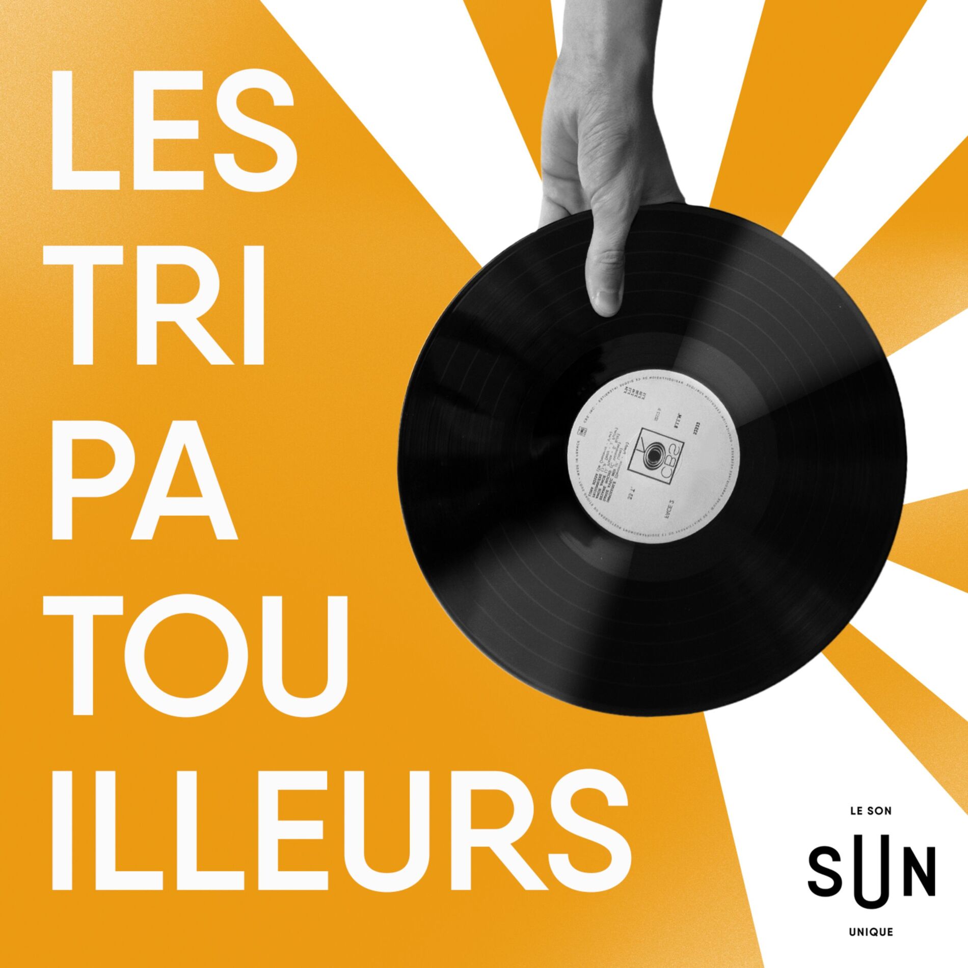 Show cover of Les Tripatouilleurs