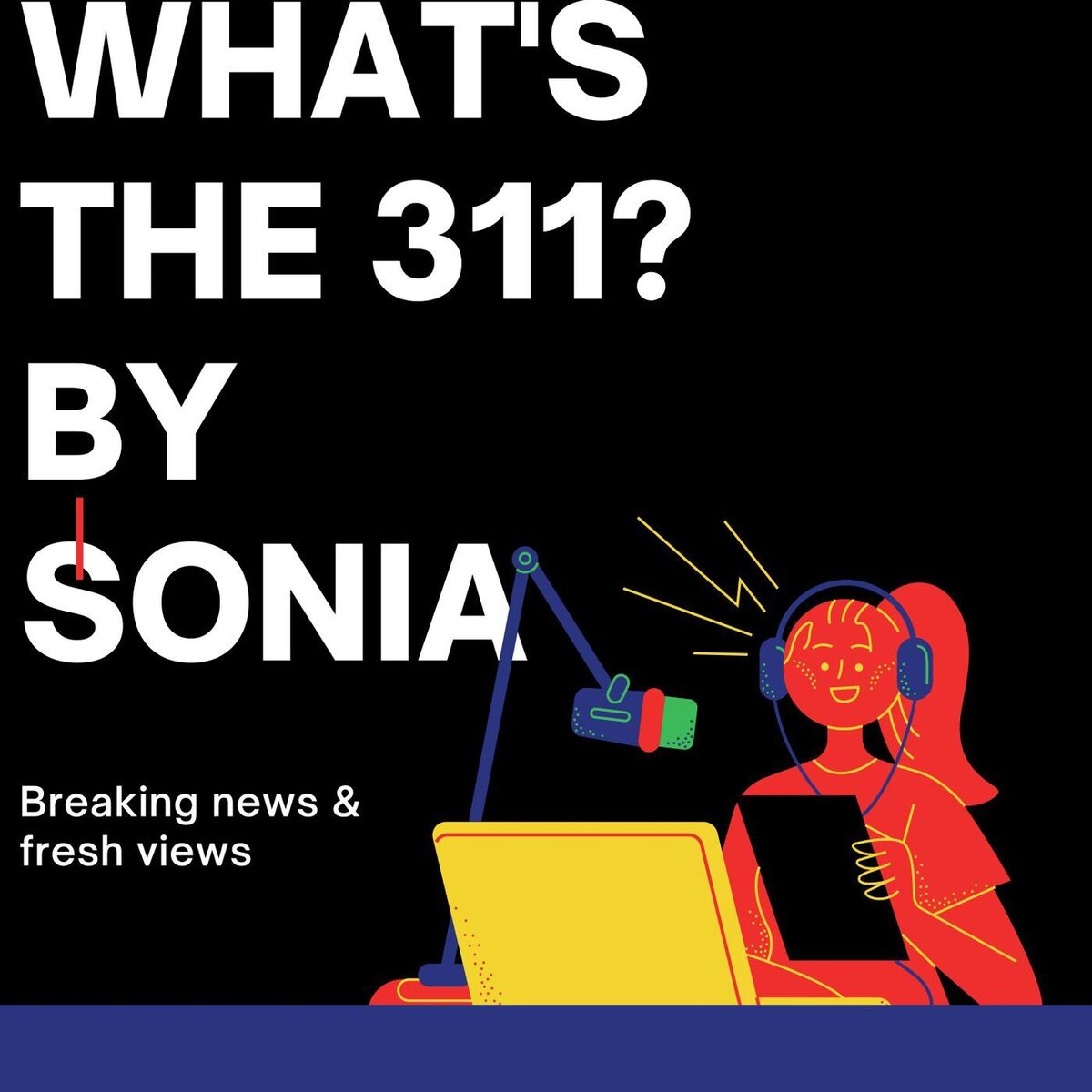 Show cover of What's the 311