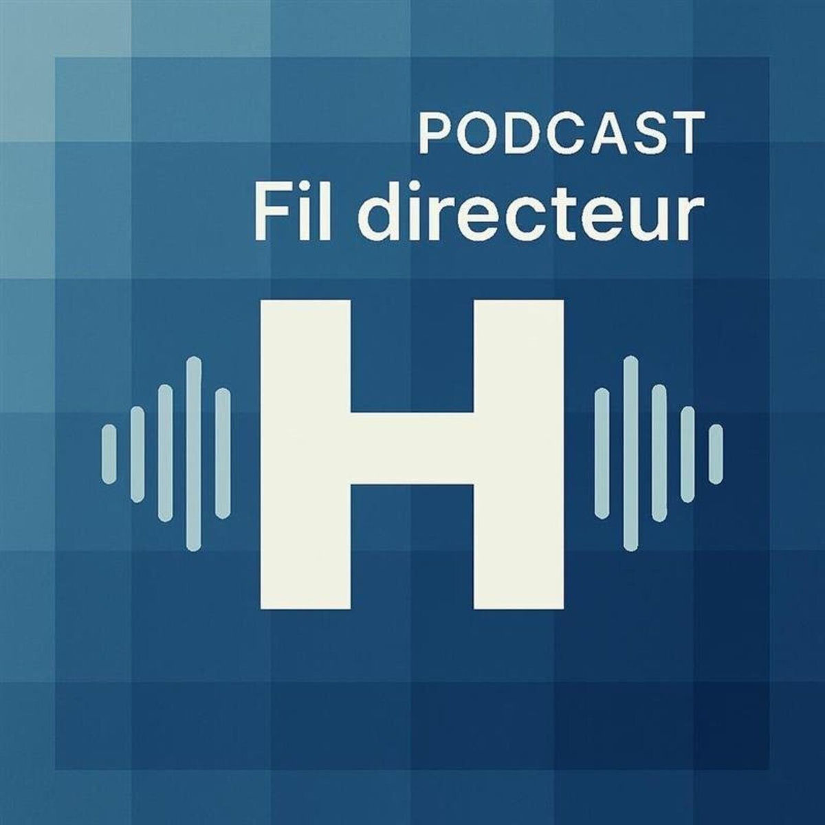 Show cover of Fil Directeur