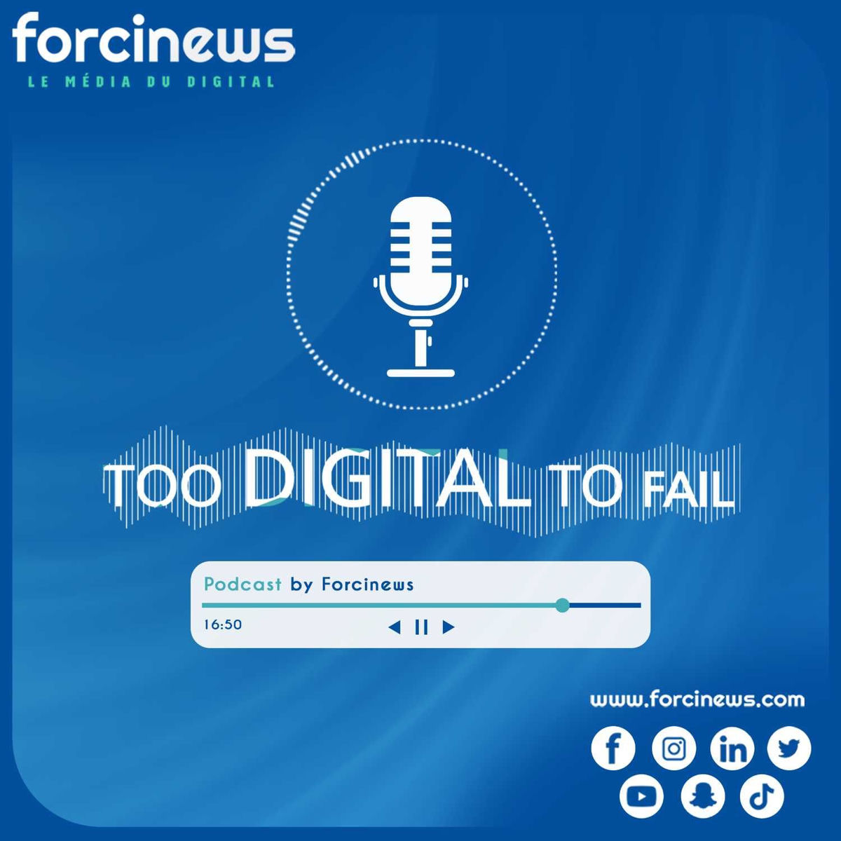 Show cover of Too Digital to Fail