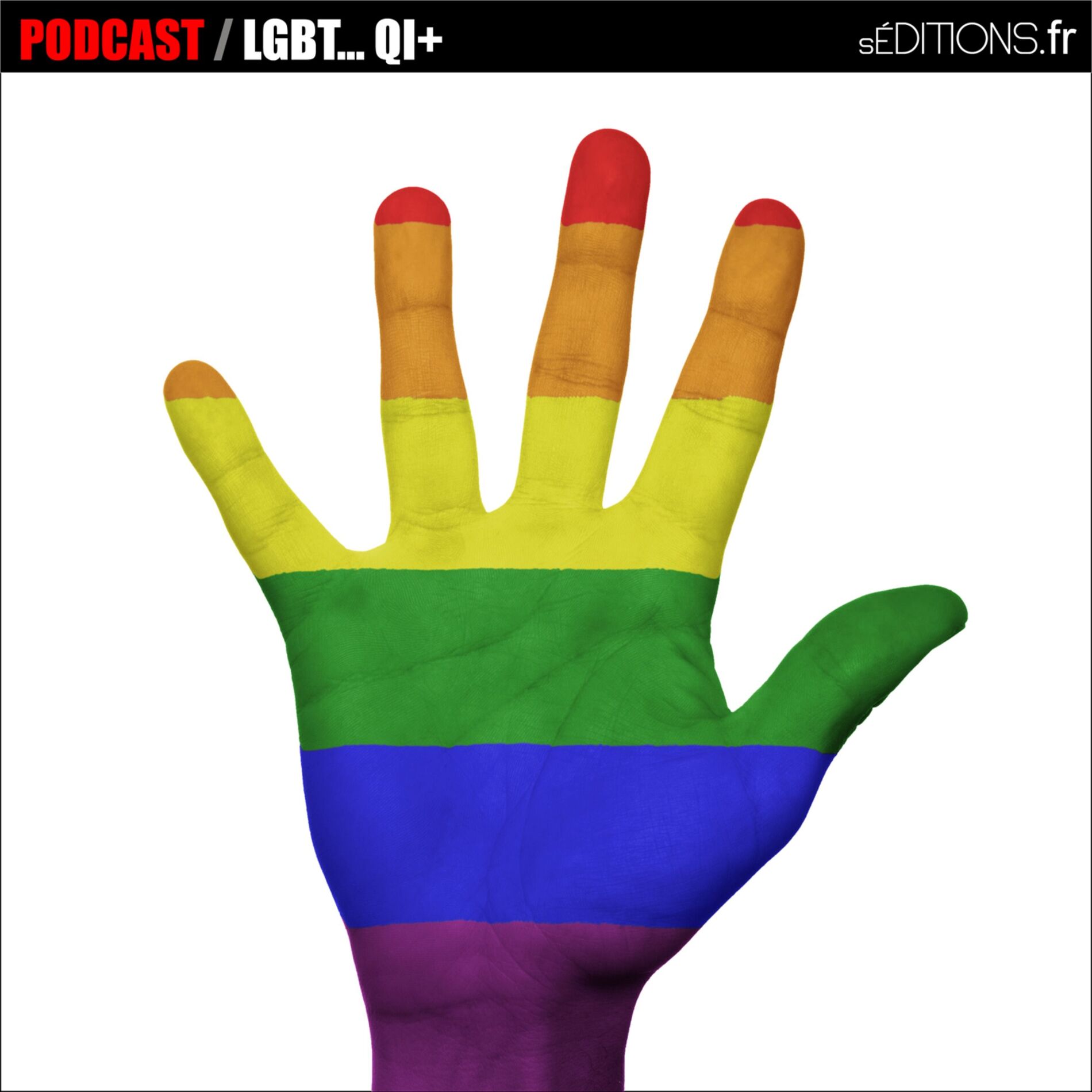 Show cover of LGBT... QI+ * seditions.fr