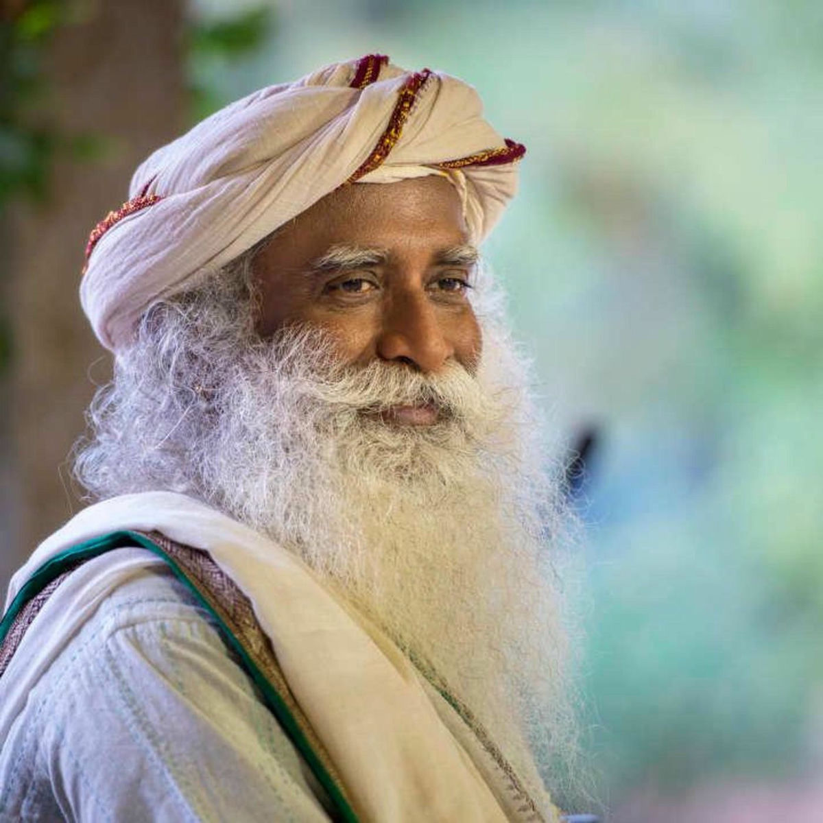 Show cover of Sadhguru talks