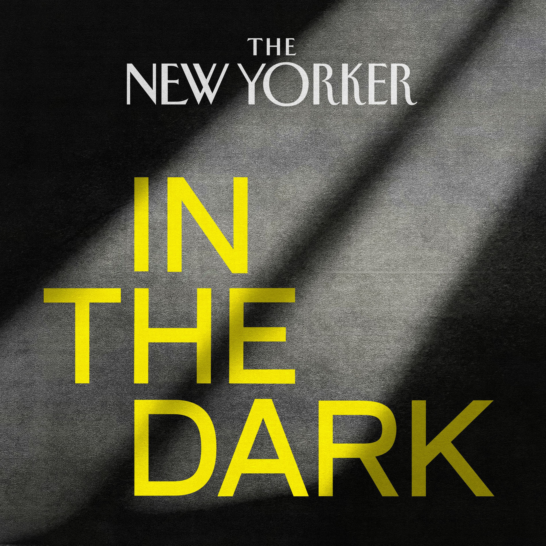 Show cover of In The Dark