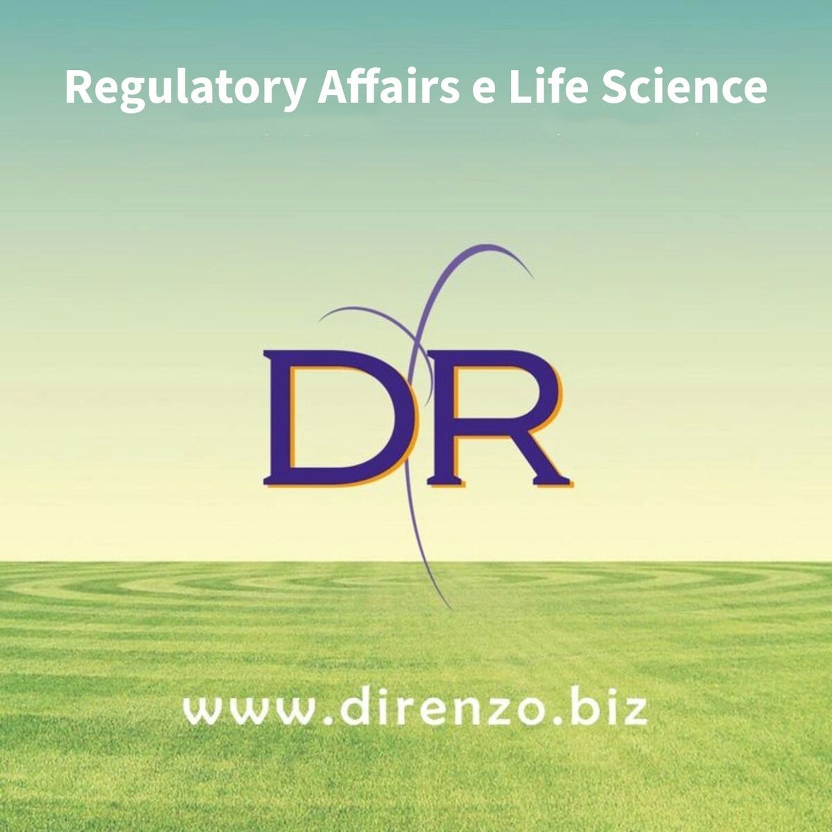 Show cover of Regulatory Affairs & Life Science