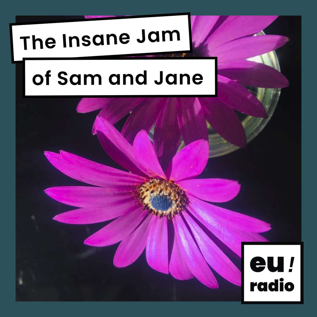 Show cover of The Insane Jam of Sam and Jane