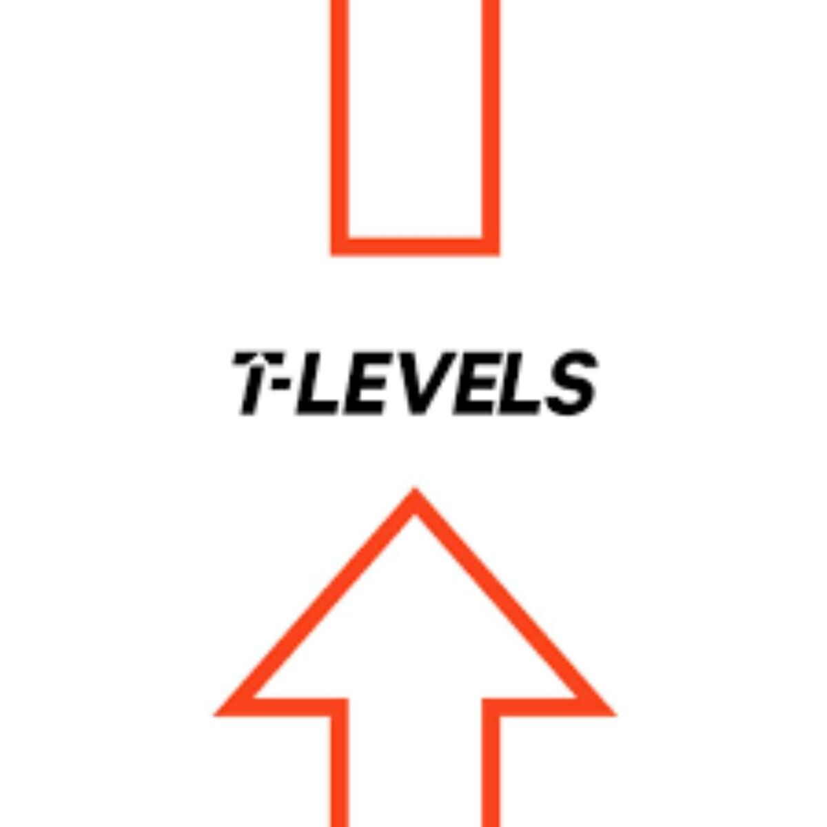 Show cover of DfE T Level and T Level Foundation Year Podcast Series 2
