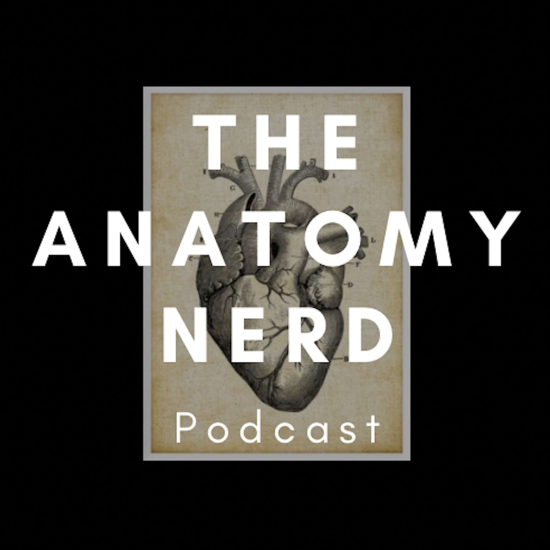 Show cover of The Anatomy Nerd Podcast