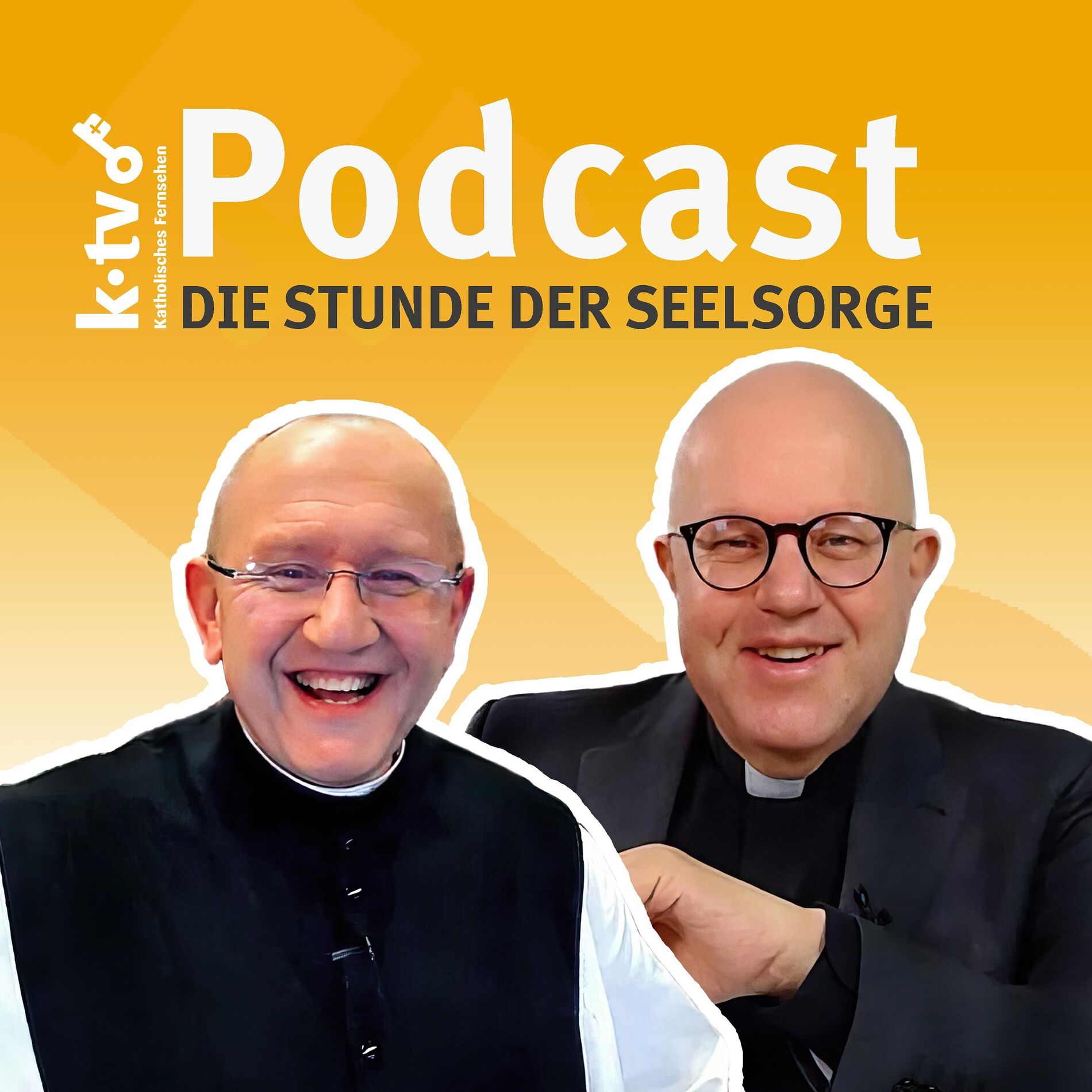 Show cover of Die Stunde der Seelsorge