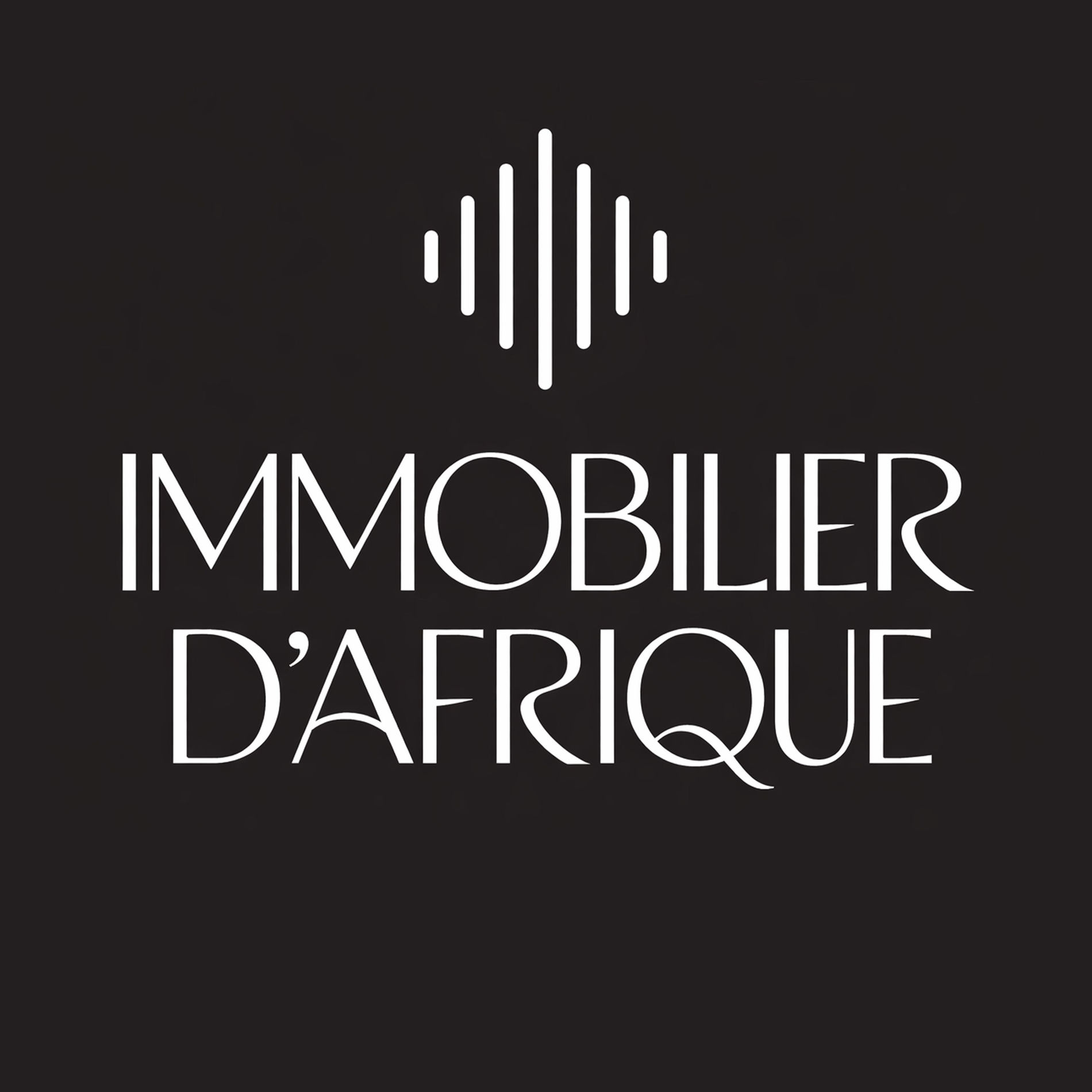 Show cover of Immobilier d'Afrique