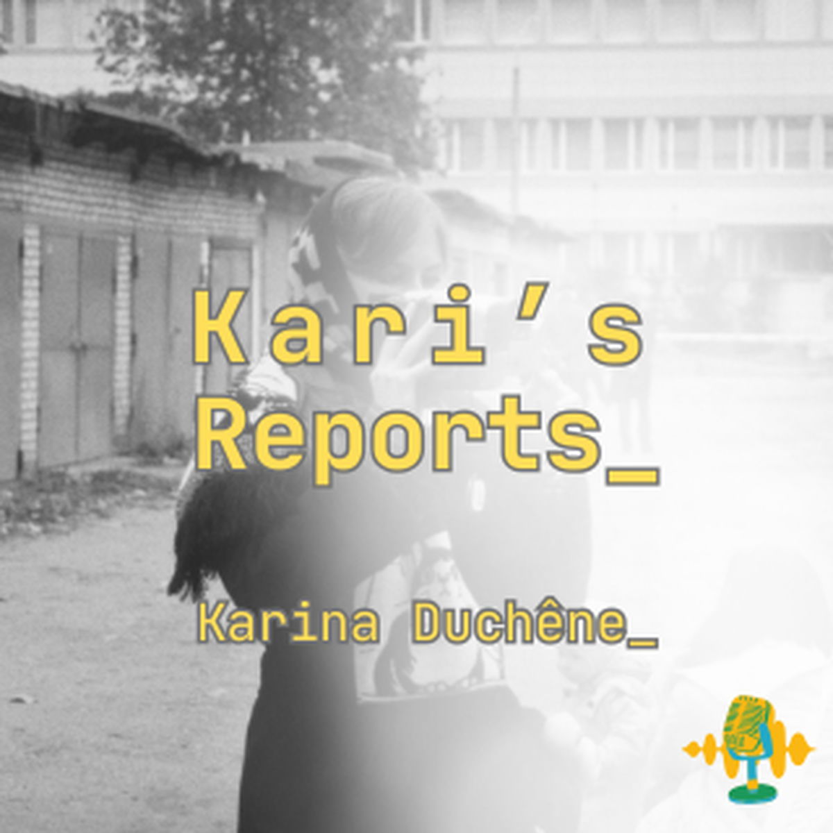 Show cover of Kari's Reports_