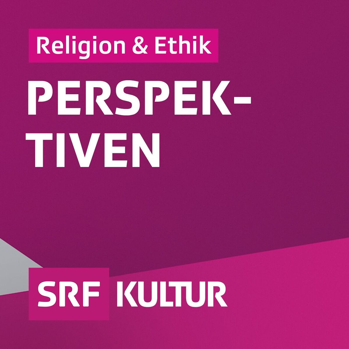 Show cover of Perspektiven