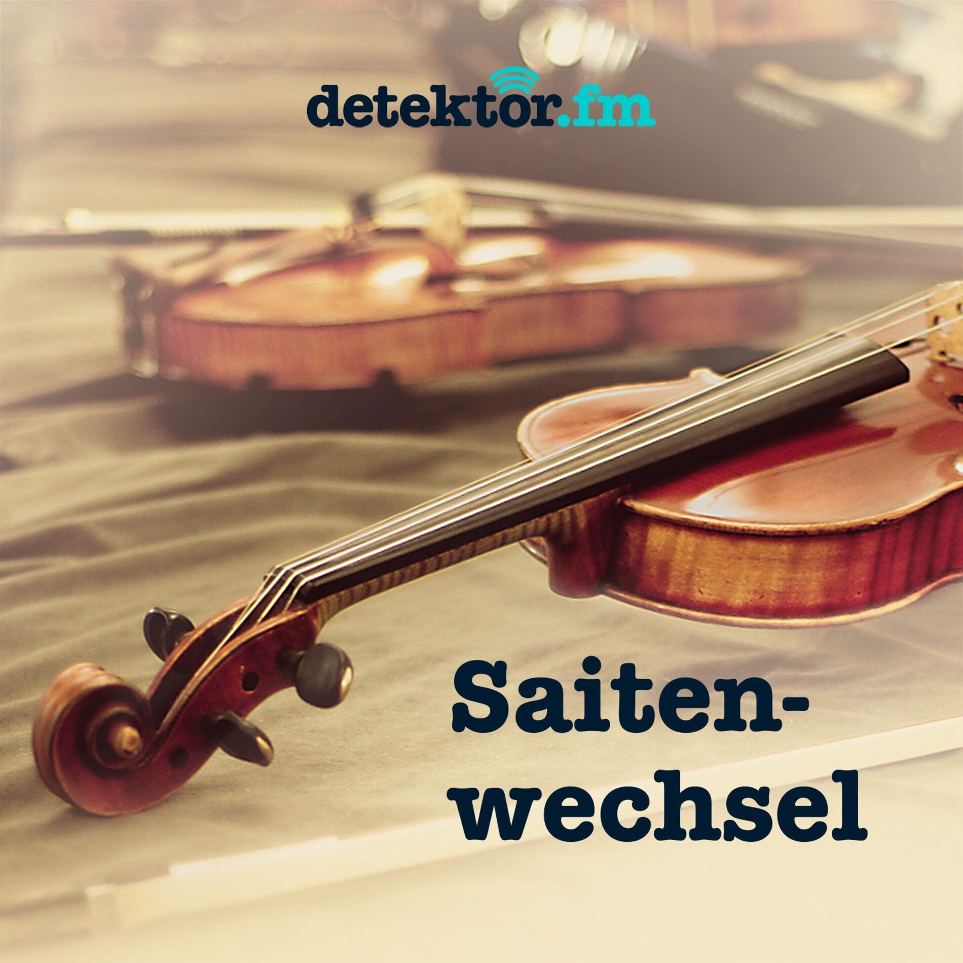 Show cover of Saitenwechsel