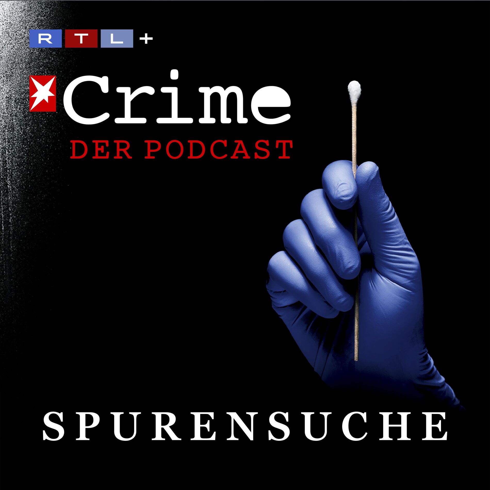 Show cover of stern Crime - Spurensuche