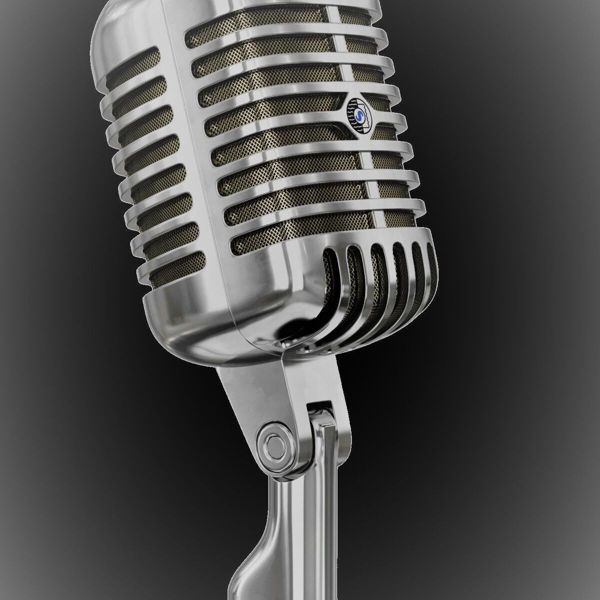 Show cover of Der Stimme eine Stimme geben