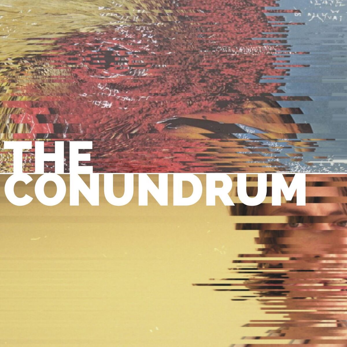Show cover of The Pavement Conundrum
