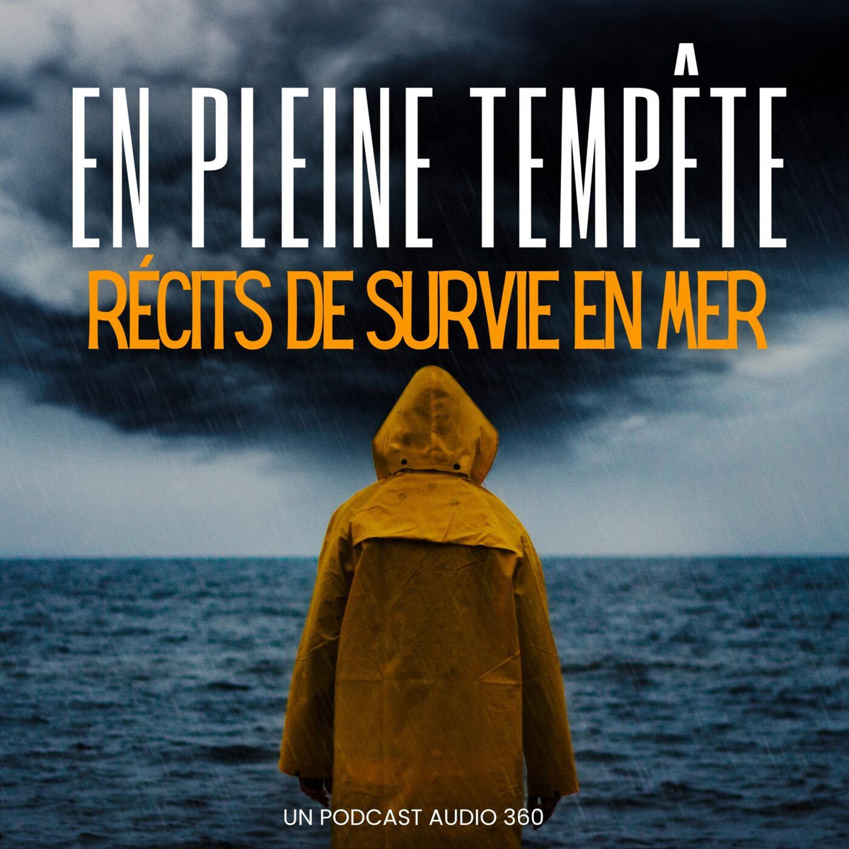 Show cover of En pleine tempête - Récits de survie en mer