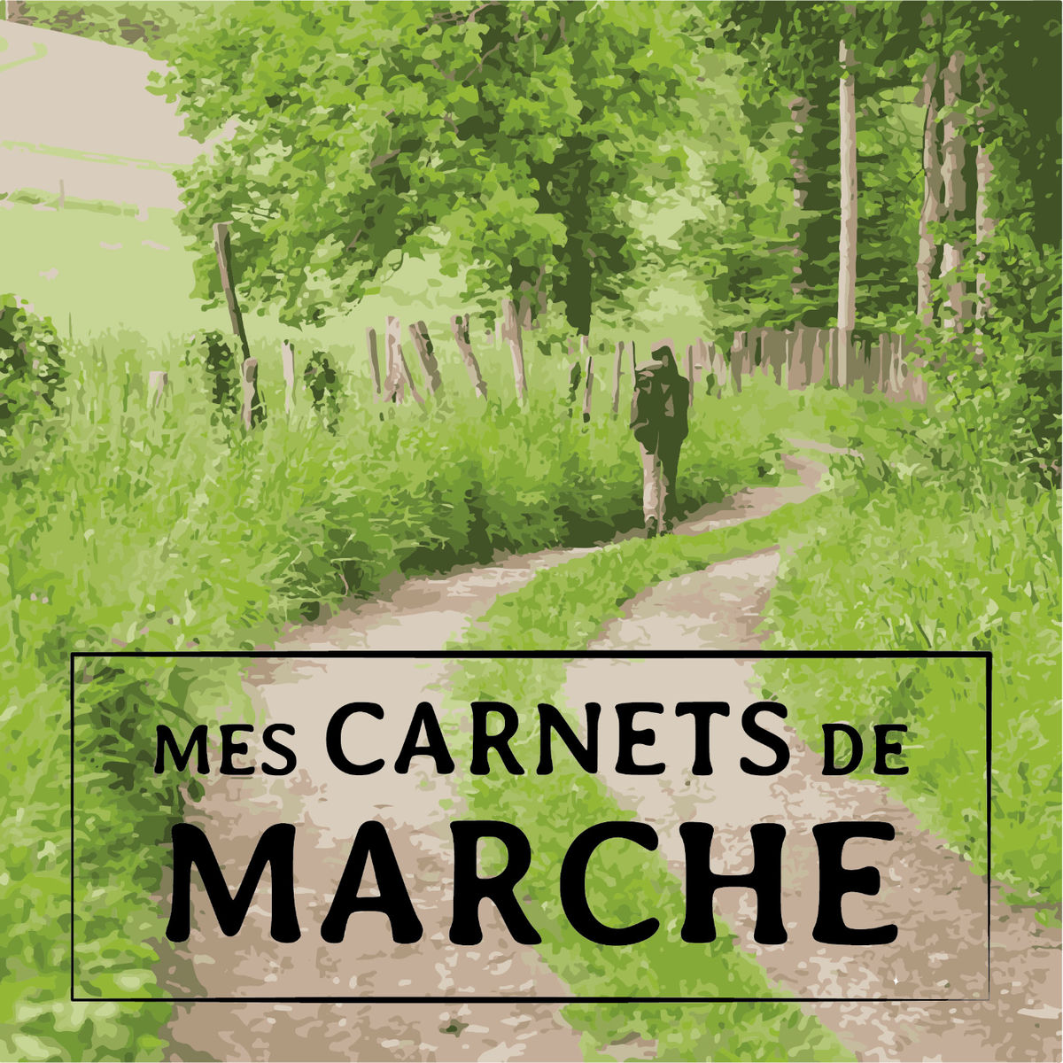 Show cover of Mes carnets de marche