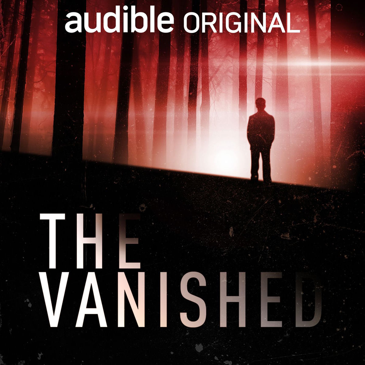 Show cover of The Vanished Podcast