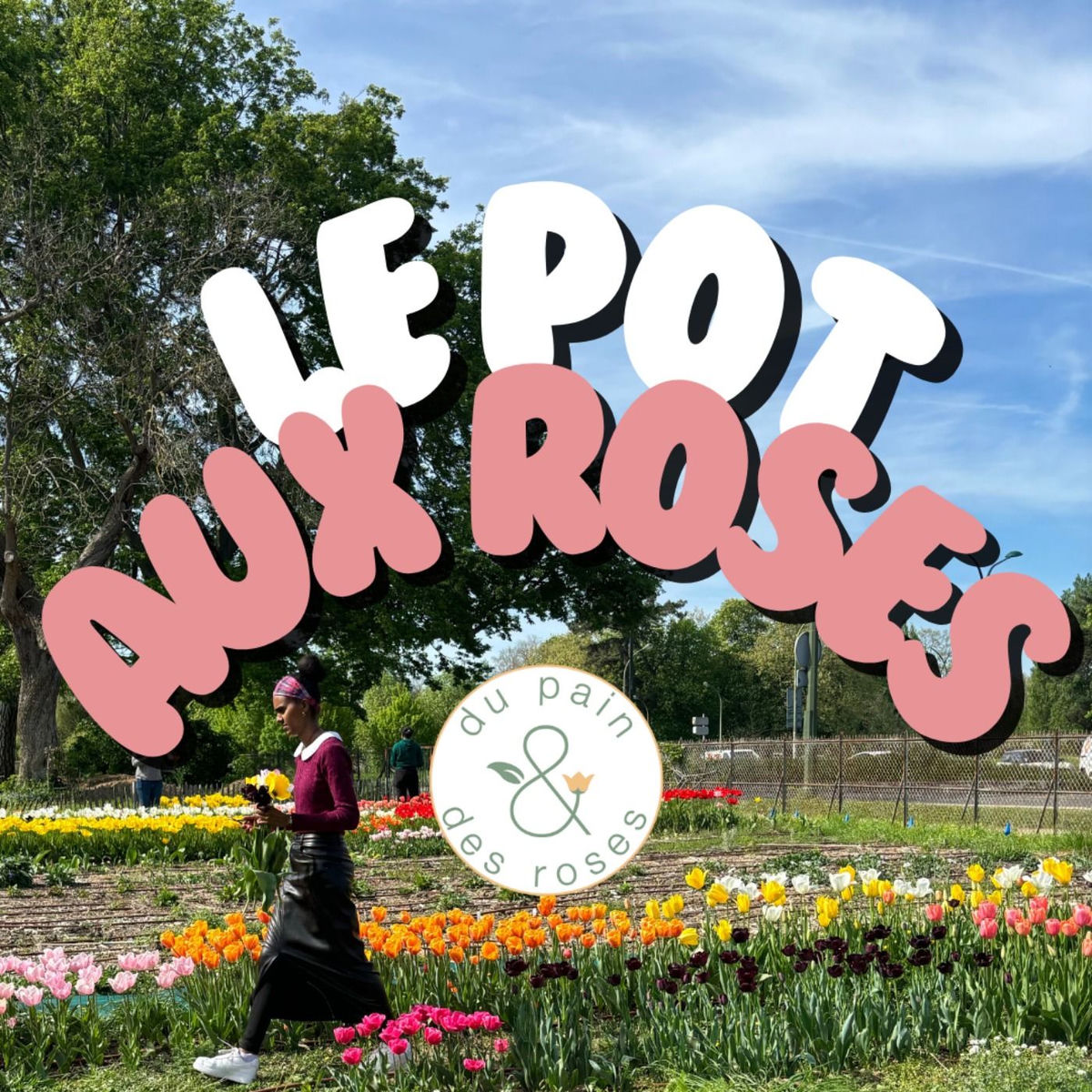 Show cover of Le pot aux roses
