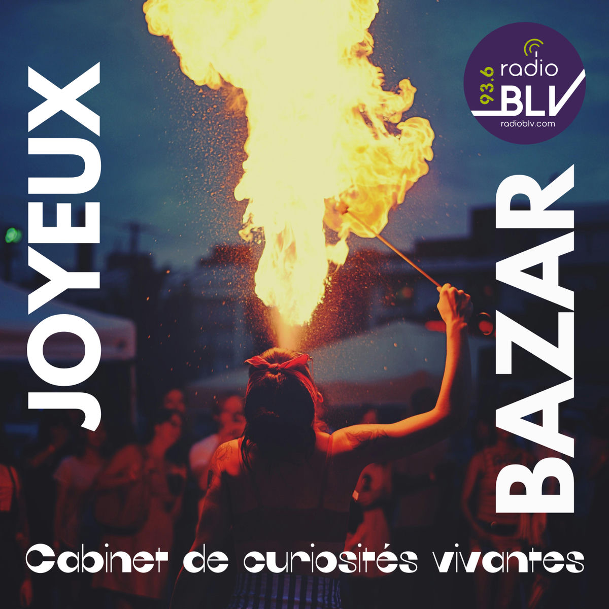 Show cover of Joyeux Bazar