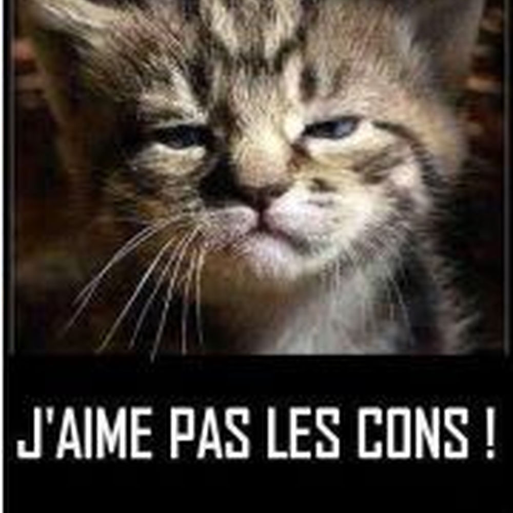 Deezer profile picture for @Garfield