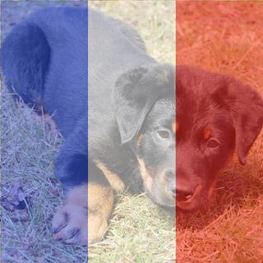 Deezer profile picture for @Easton