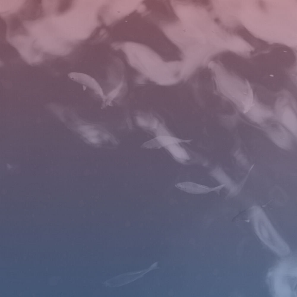 Deezer profile picture for @UNMARKED