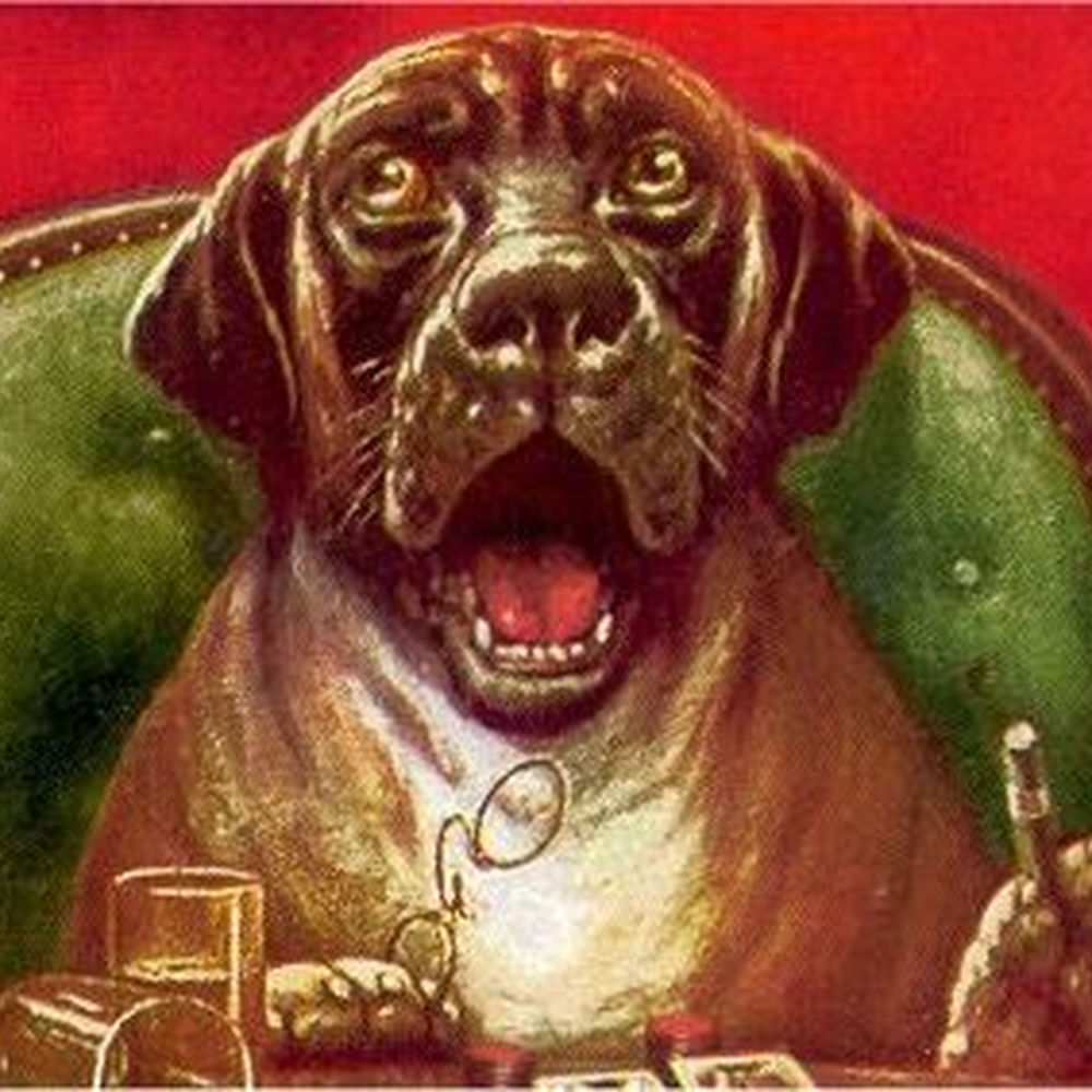 Deezer profile picture for @bidder