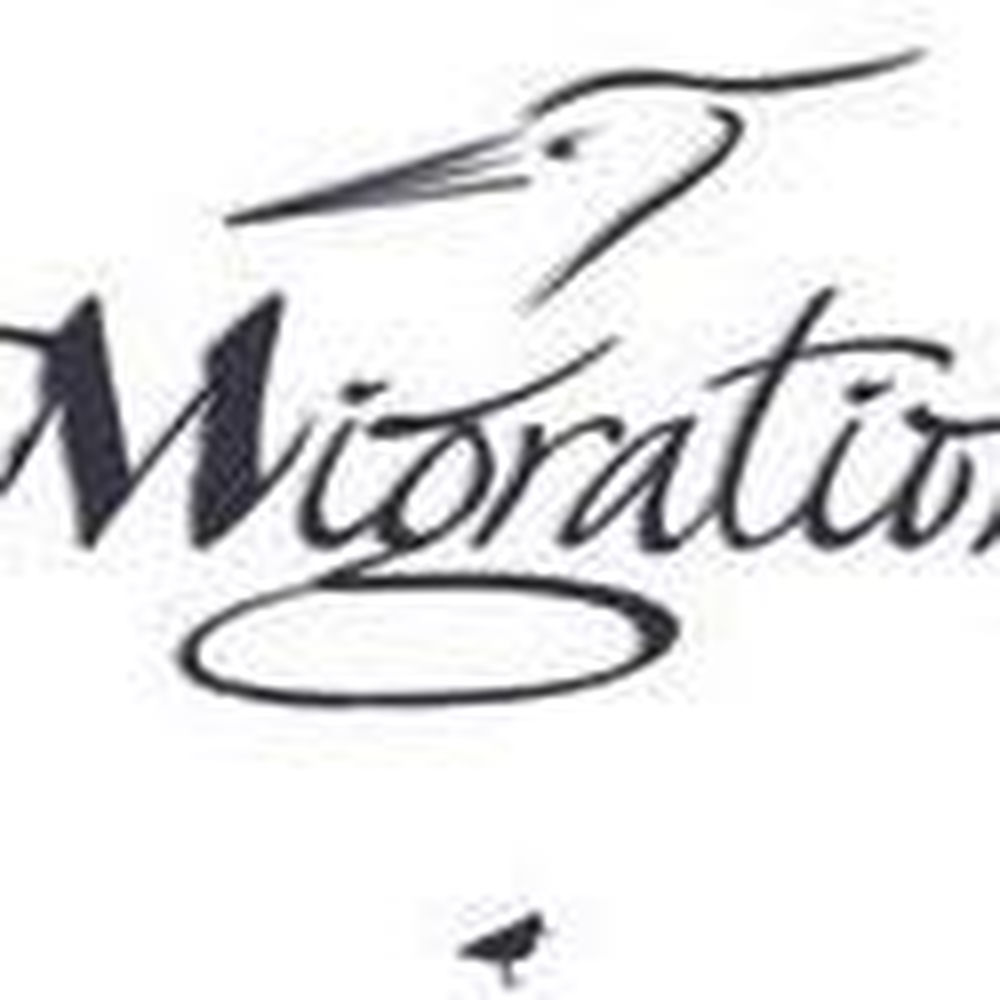 Deezer profile picture for @migration