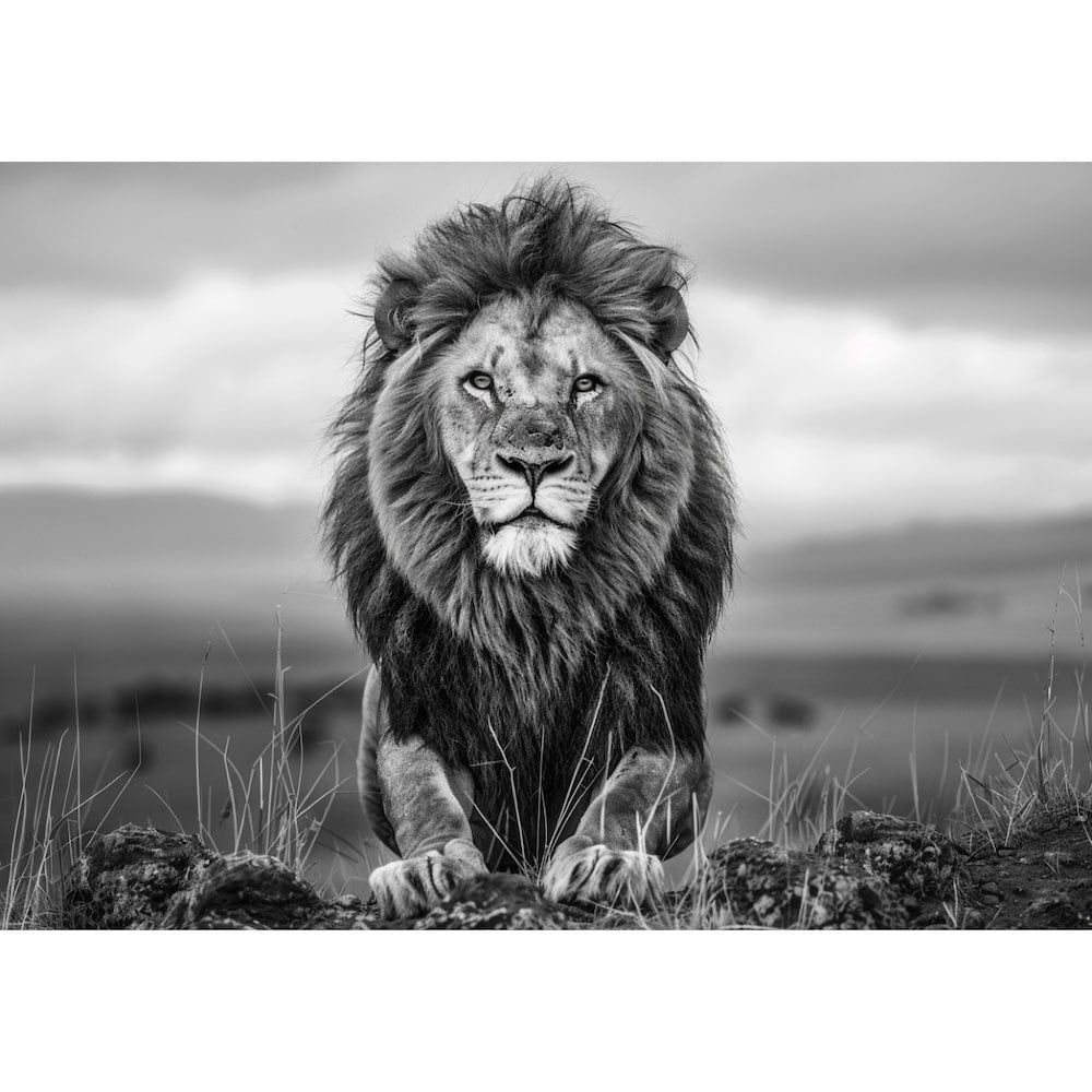 Deezer profile picture for @Spoons